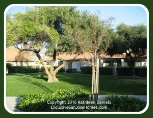 Common Area Within the Colony Green Condos Community