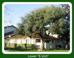 2 bedroom lower unit condo in Colony Green