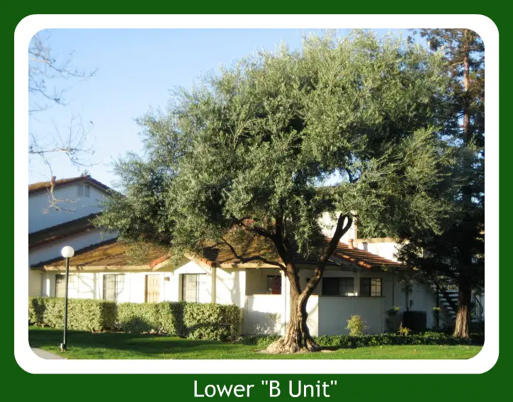 2 bedroom lower unit condo in Colony Green
