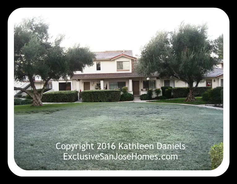 Freeze warnings creates frost on Colony Green lawns