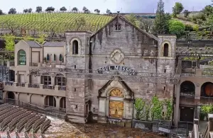Mountain Winery