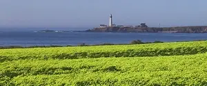 Pigeon Point