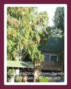 Condo in Sierra Crest in San Jose, CA
